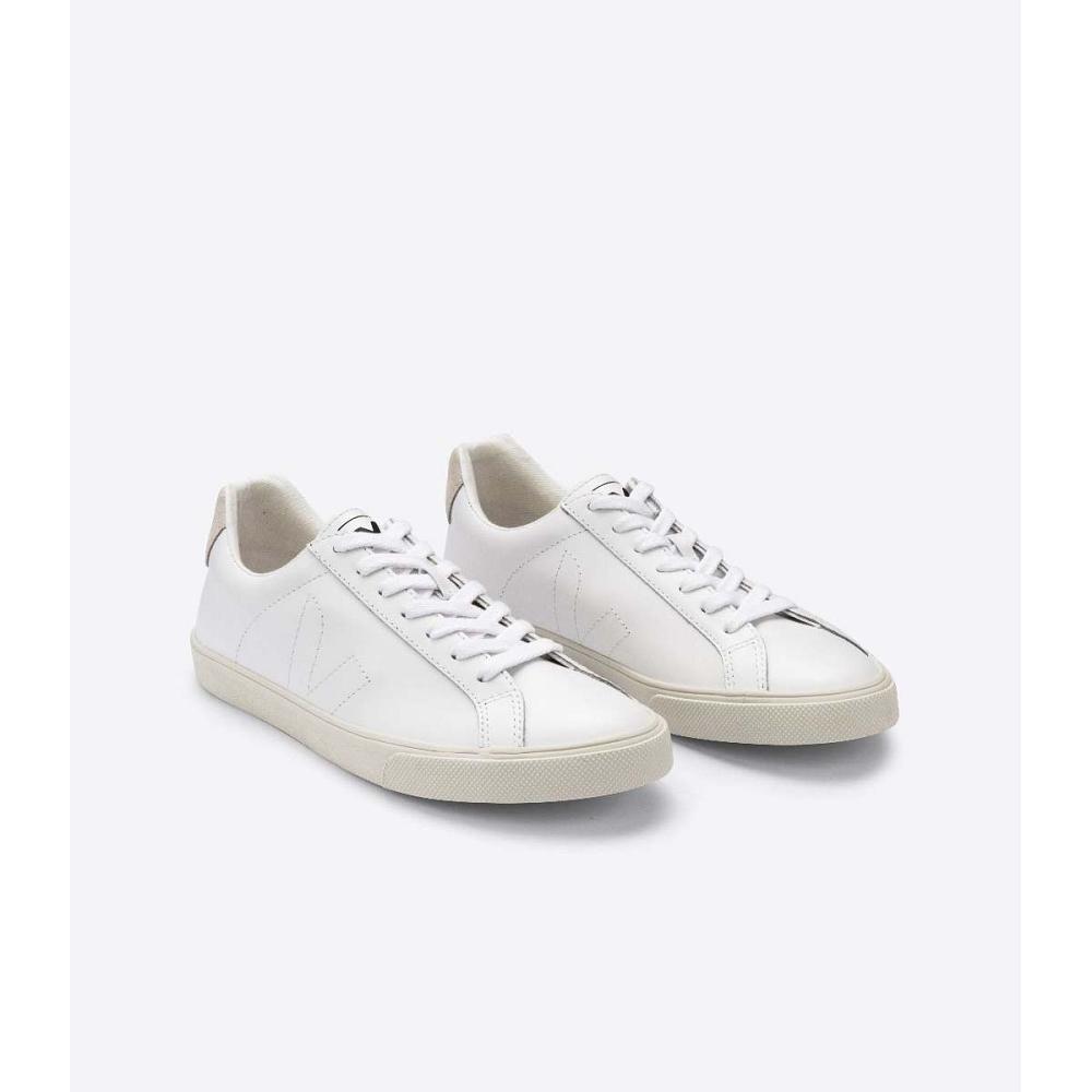 Veja ESPLAR LEATHER Men's Sneakers White | NZ 308JPQ